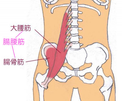 明石　朝霧整体院　反り腰になるのは腸腰筋の弱化